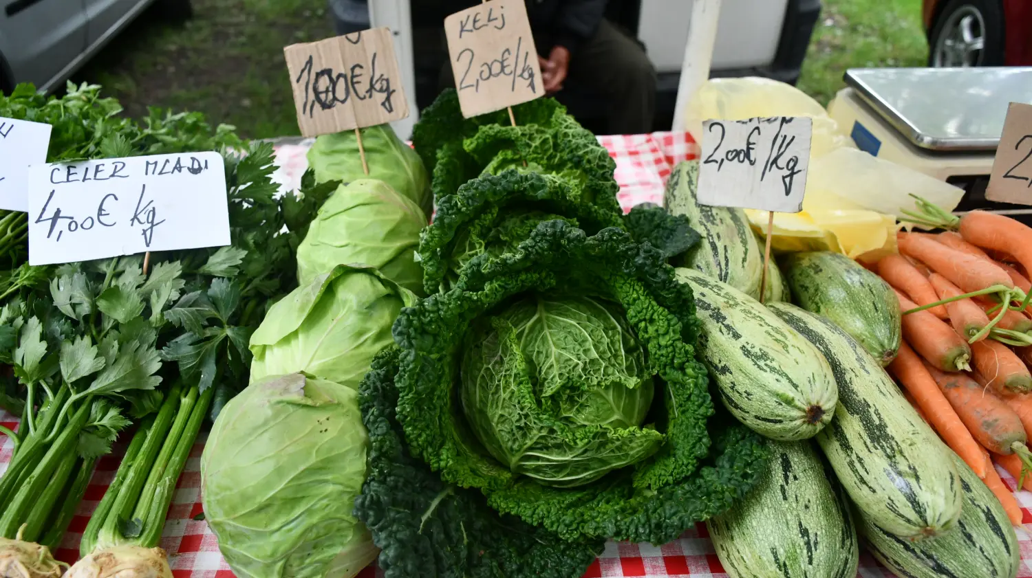 sajam 12.6.2024 (7) sajam 12.6.2024 (7)