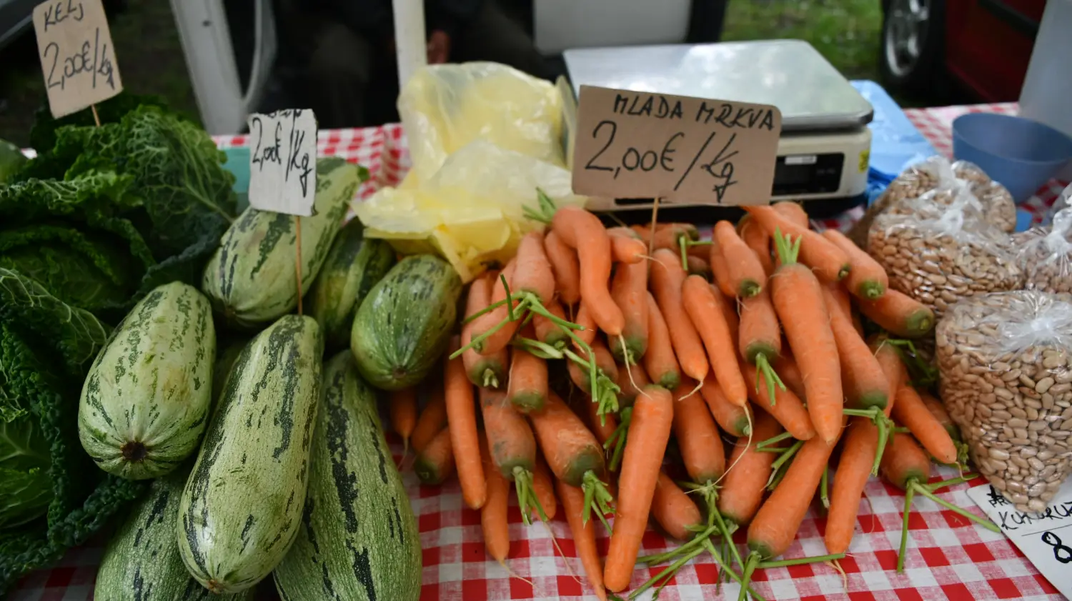 sajam 12.6.2024 (8) sajam 12.6.2024 (8)