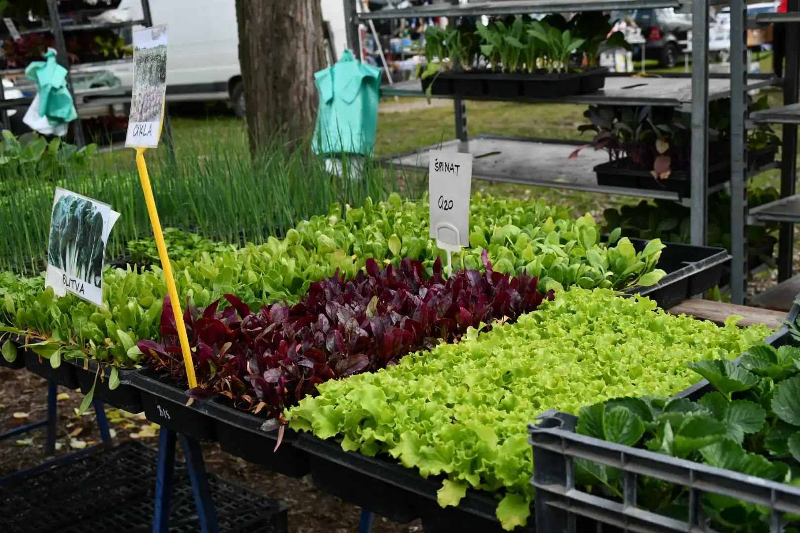 sajam 27.3.2024 (12) sajam 27.3.2024 (12)