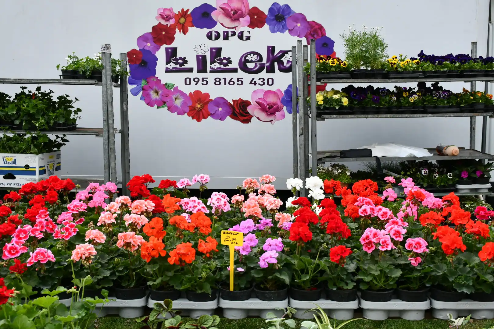 sajam 27.3.2024 (16) sajam 27.3.2024 (16)