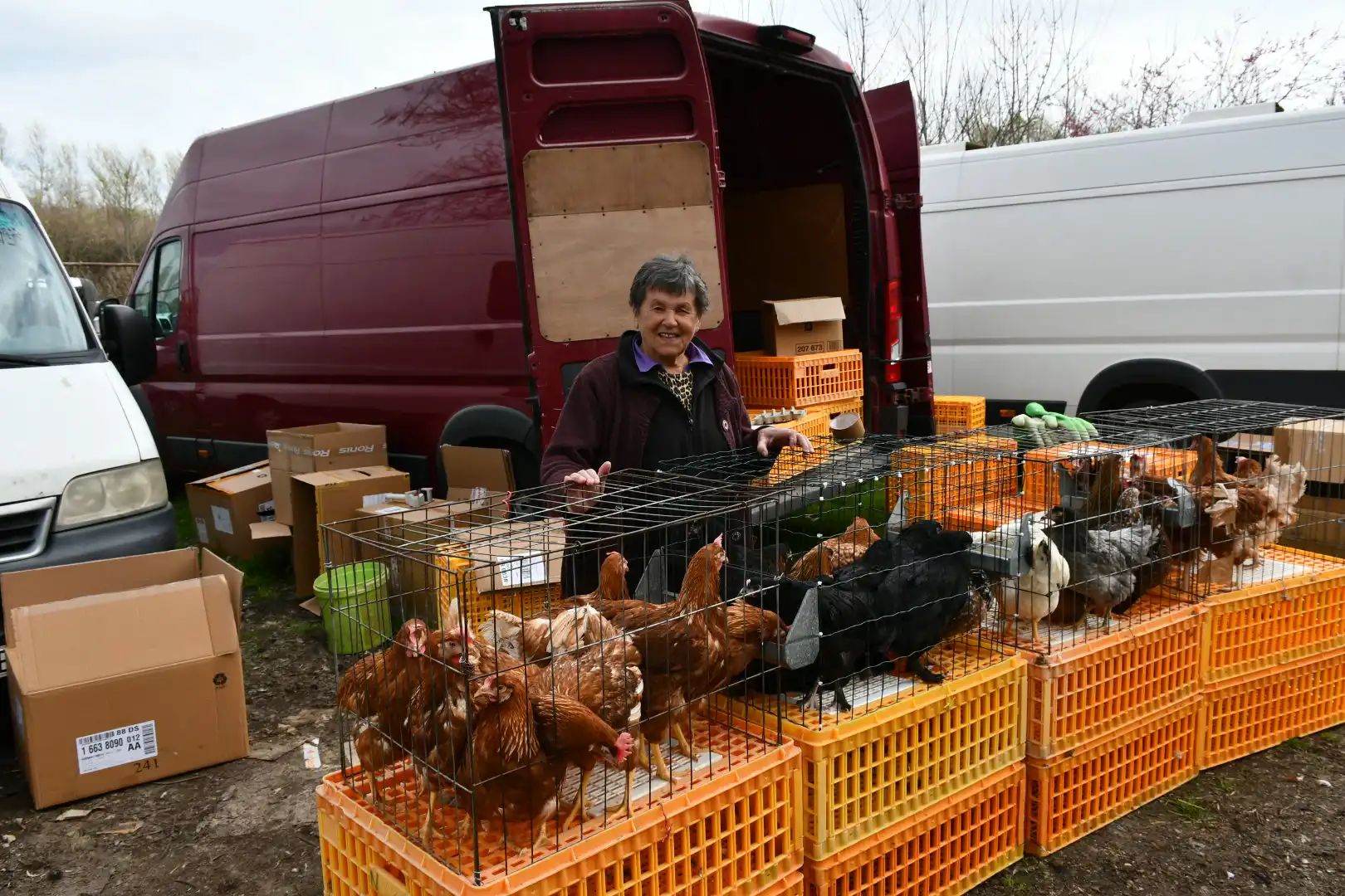 sajam 27.3.2024 (24) sajam 27.3.2024 (24)