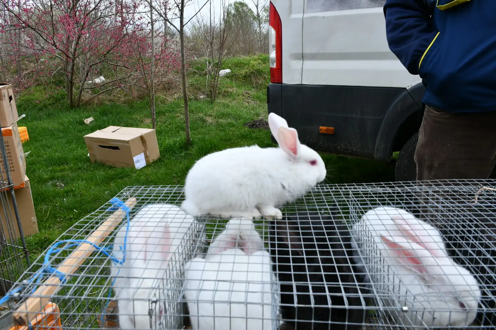 sajam 27.3.2024 (26) sajam 27.3.2024 (26)