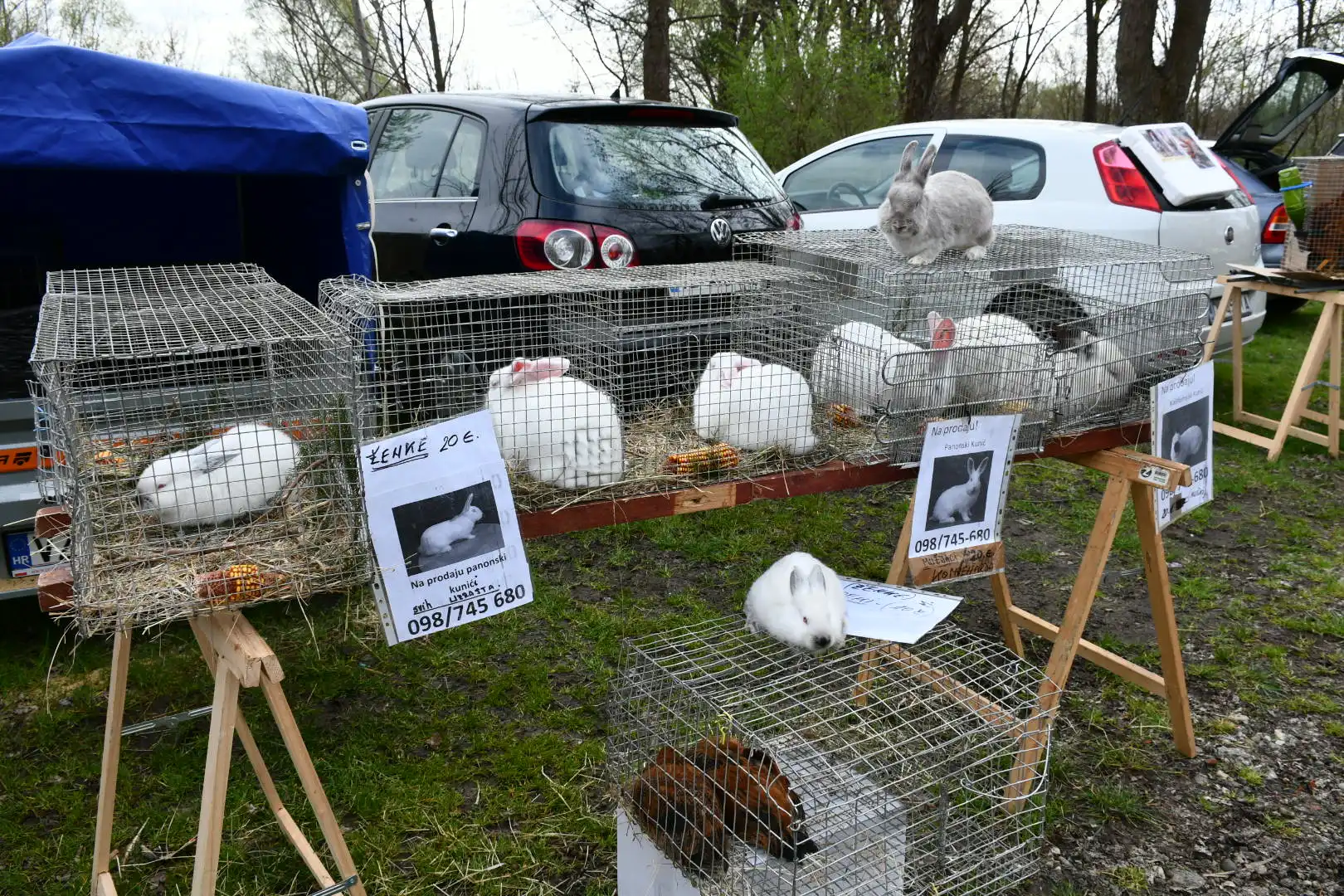 sajam 27.3.2024 (27) sajam 27.3.2024 (27)