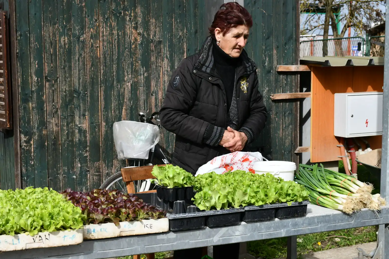 sajam 27.3.2024 (40) sajam 27.3.2024 (40)