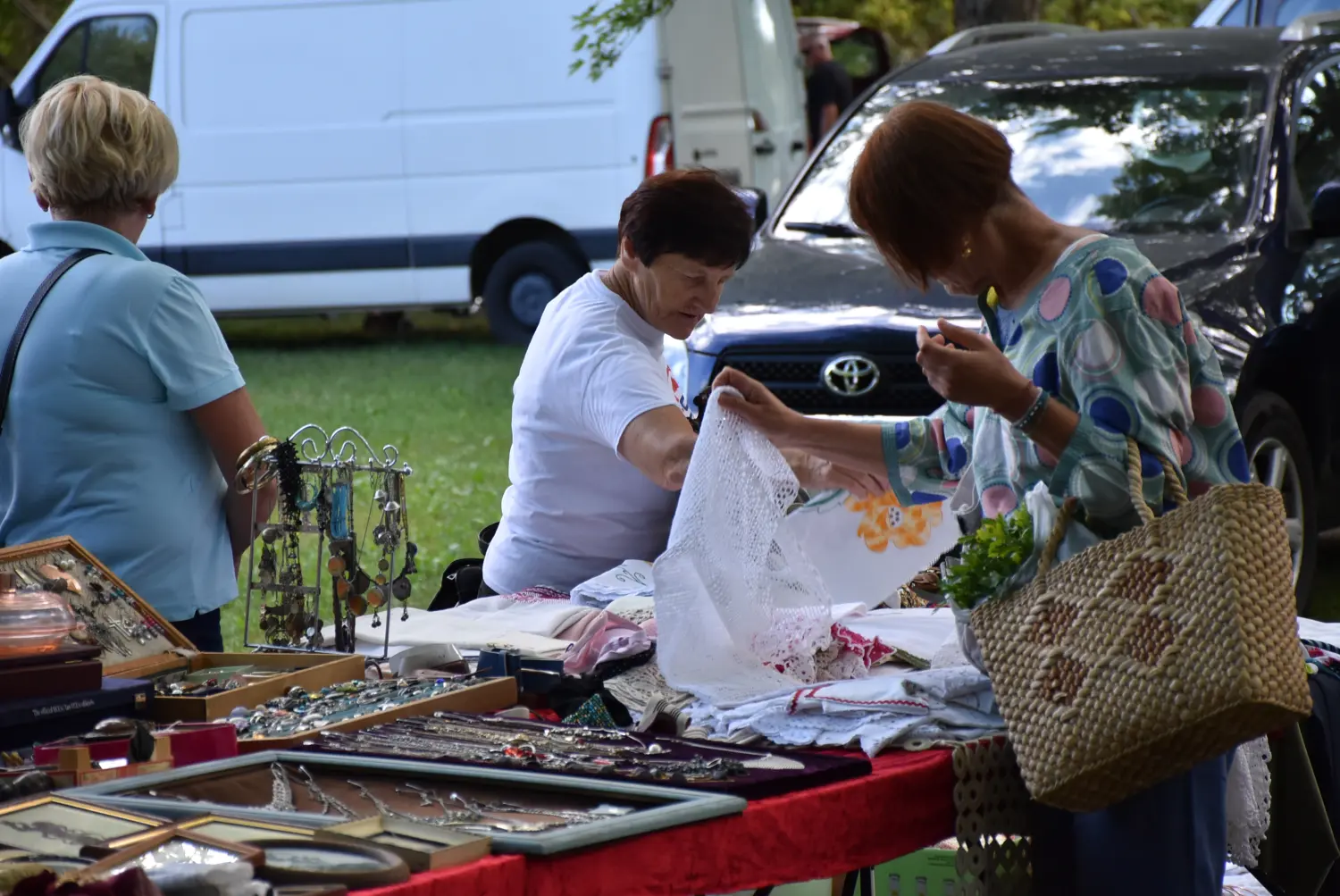 sajam, 7.8.2024.čakovečki sajam (39)