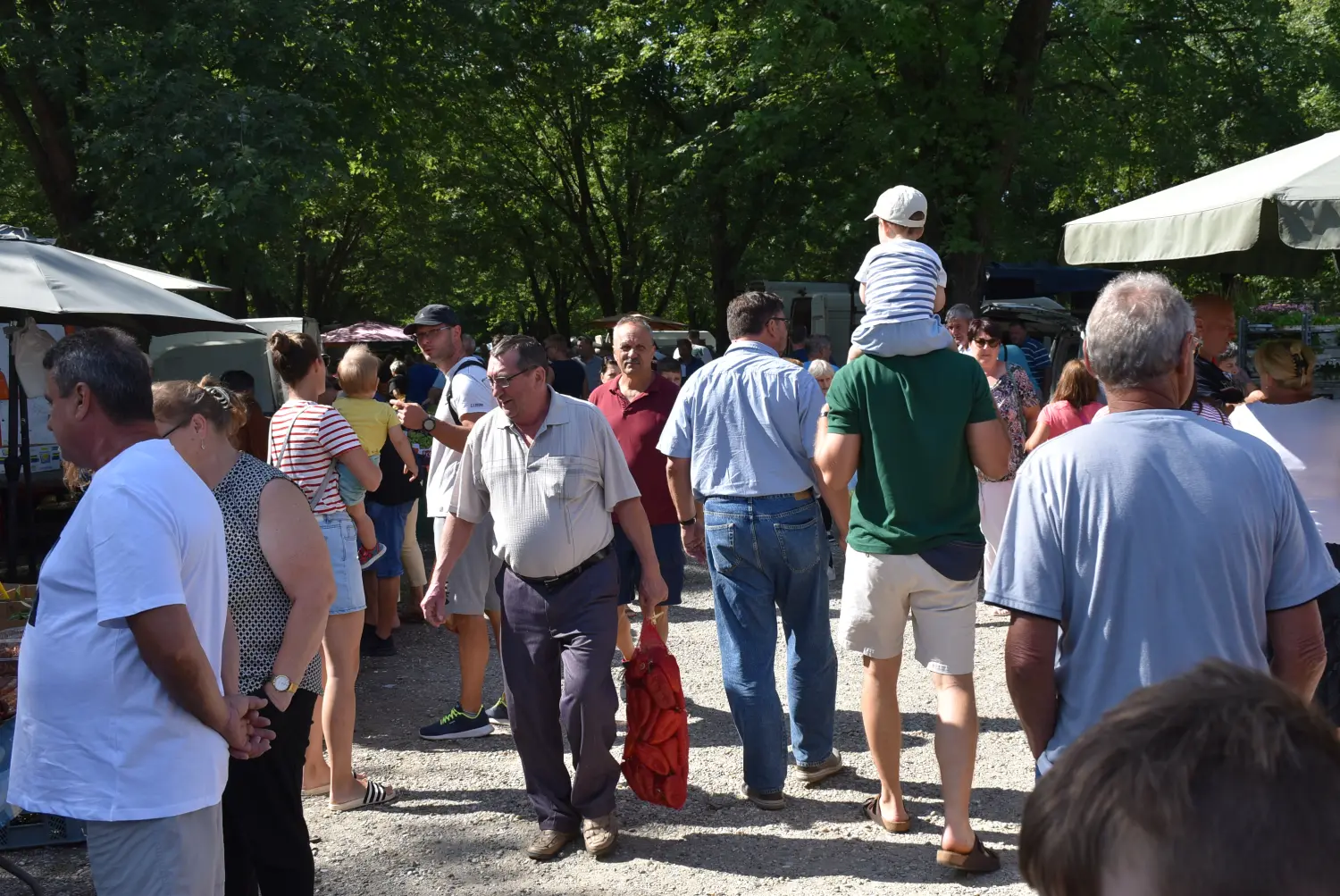 sajam, 7.8.2024.čakovečki sajam (61)