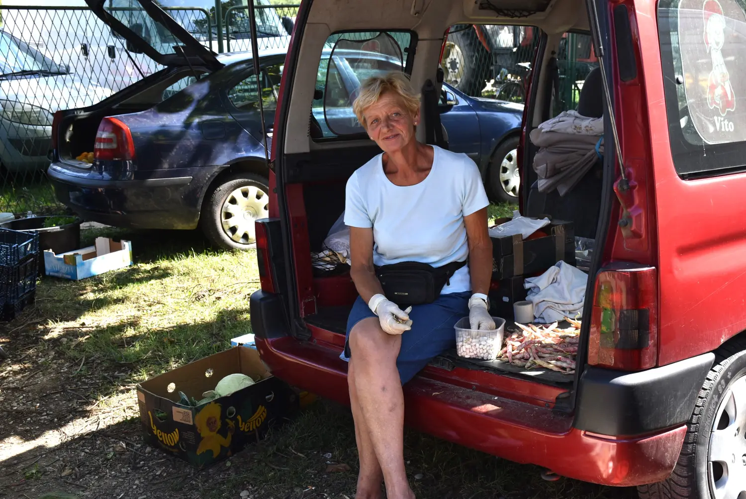 sajam, 7.8.2024.čakovečki sajam (7)