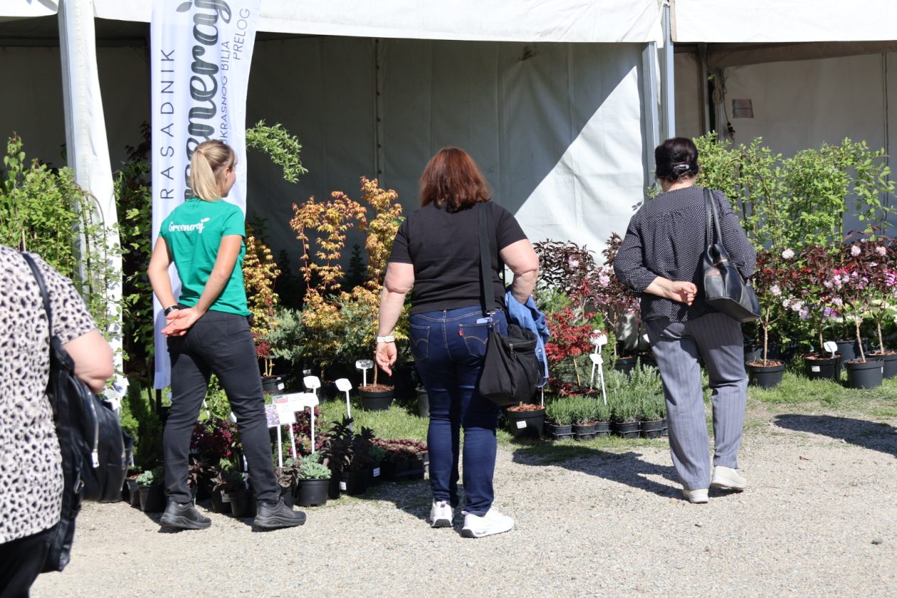 sajam cvijeća Prelog 2026 (16)