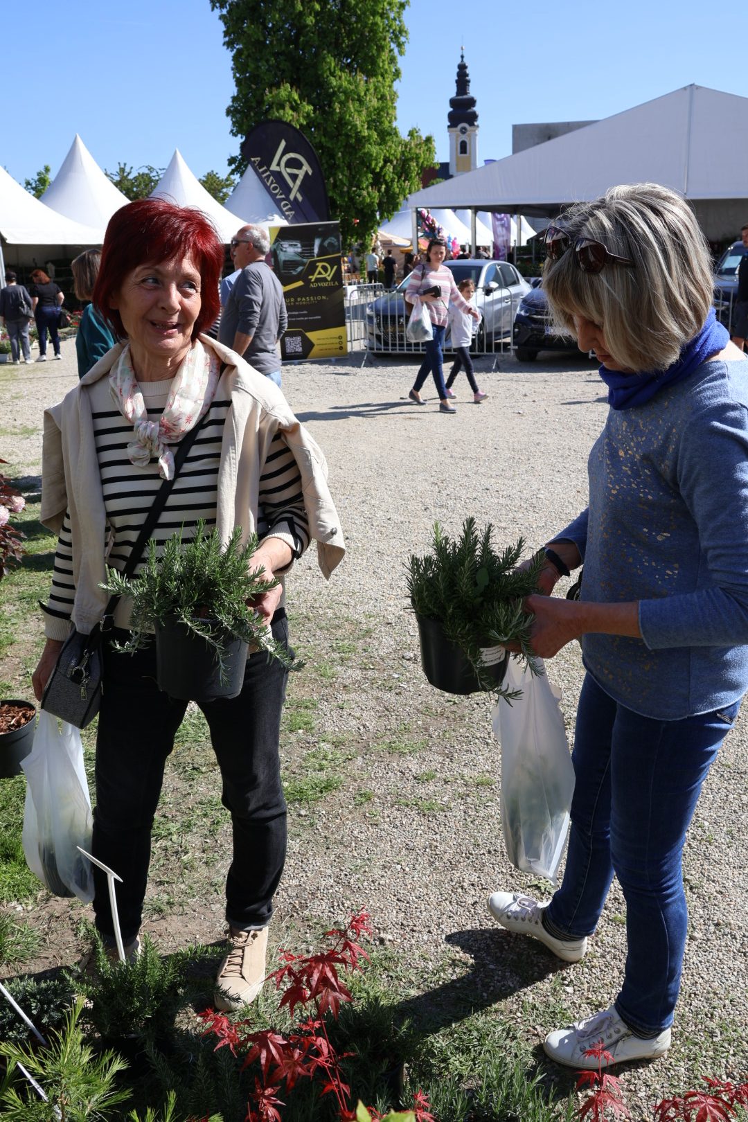 sajam cvijeća Prelog 2026 (19)