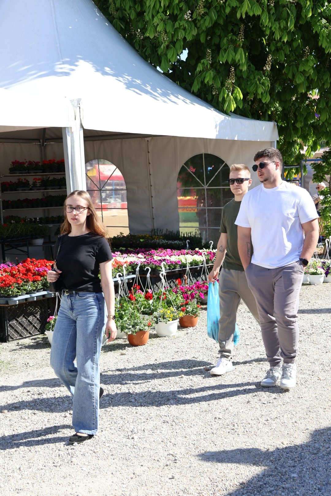 sajam cvijeća Prelog 2026 (22)