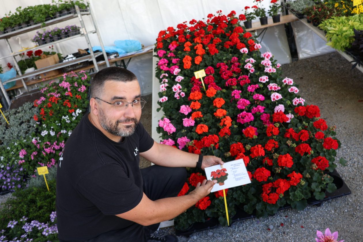 sajam cvijeća Prelog 2026 (23)