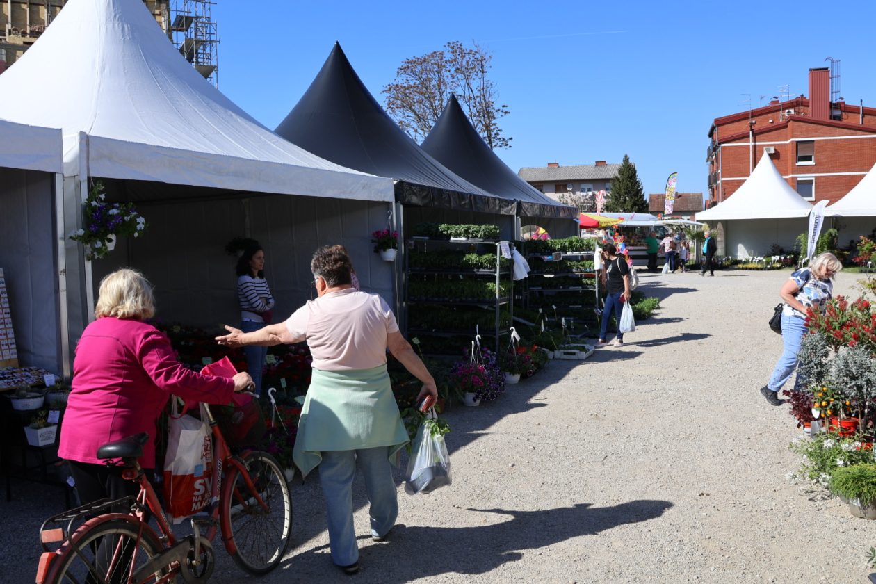 sajam cvijeća Prelog 2026 (29)