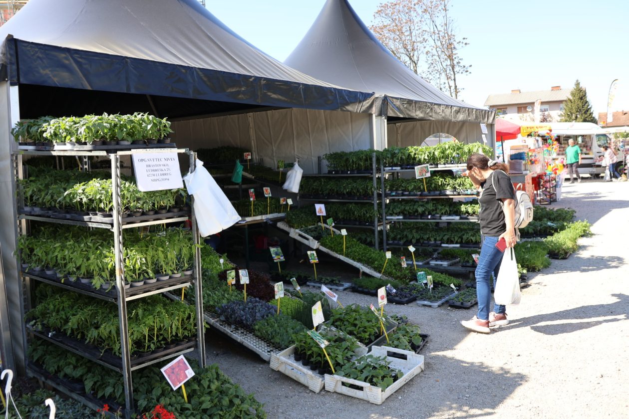 sajam cvijeća Prelog 2026 (30)