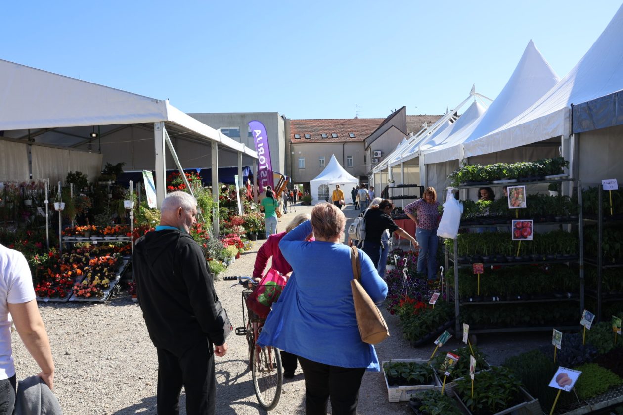 sajam cvijeća Prelog 2026 (32)