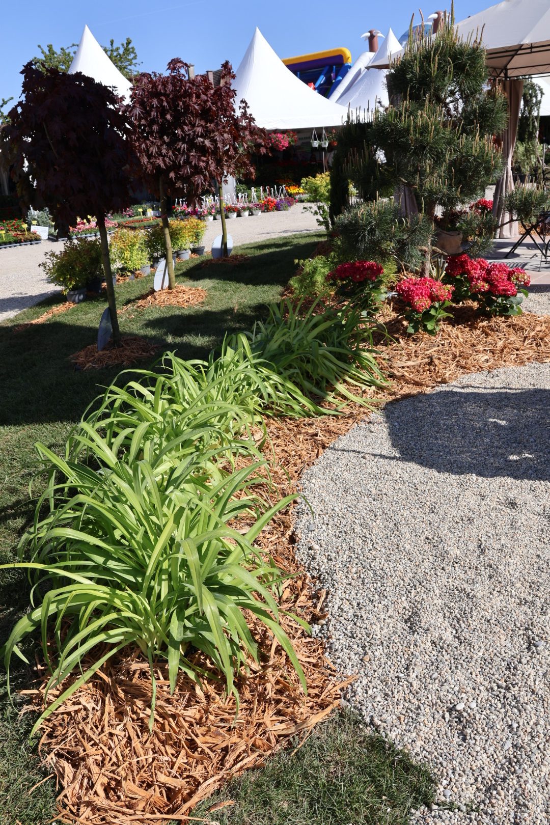 sajam cvijeća Prelog 2026 (41)