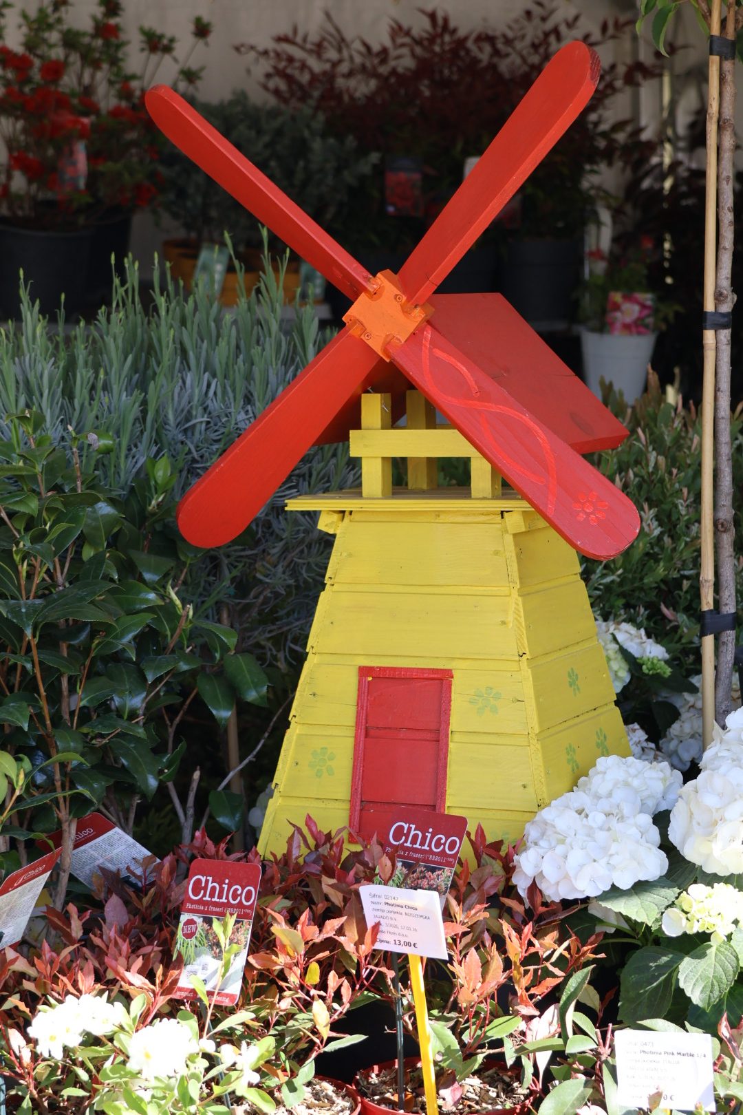 sajam cvijeća Prelog 2026 (53)