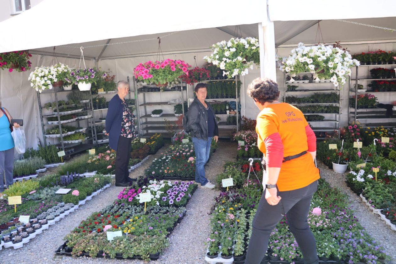 sajam cvijeća Prelog 2026 (58)
