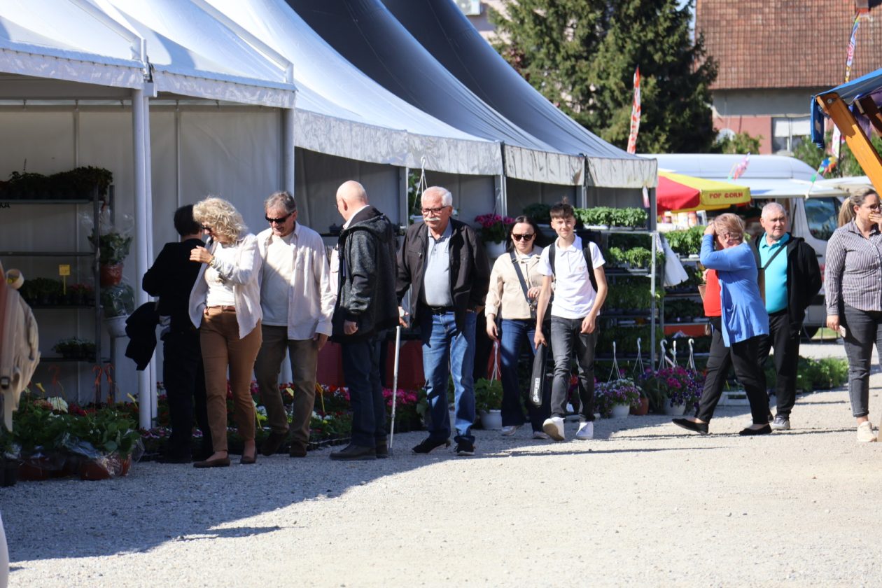sajam cvijeća Prelog 2026 (60)