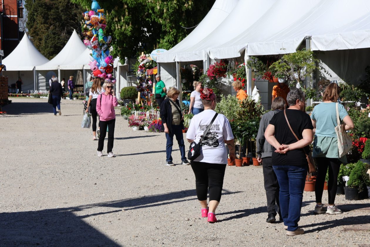 sajam cvijeća Prelog 2026 (68)