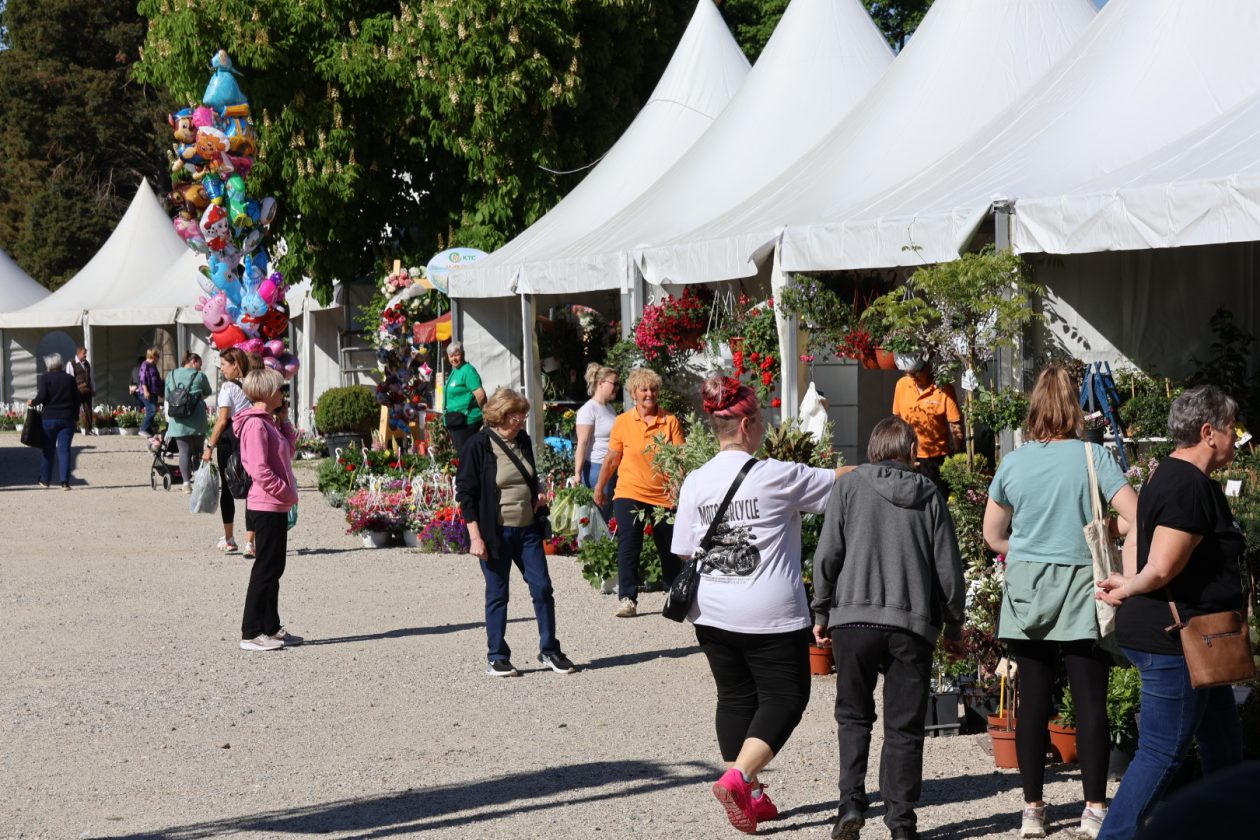 sajam cvijeća Prelog 2026 (69)