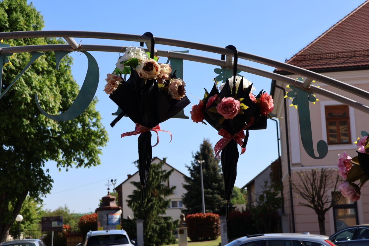 sajam cvijeća Prelog 2026 (73)