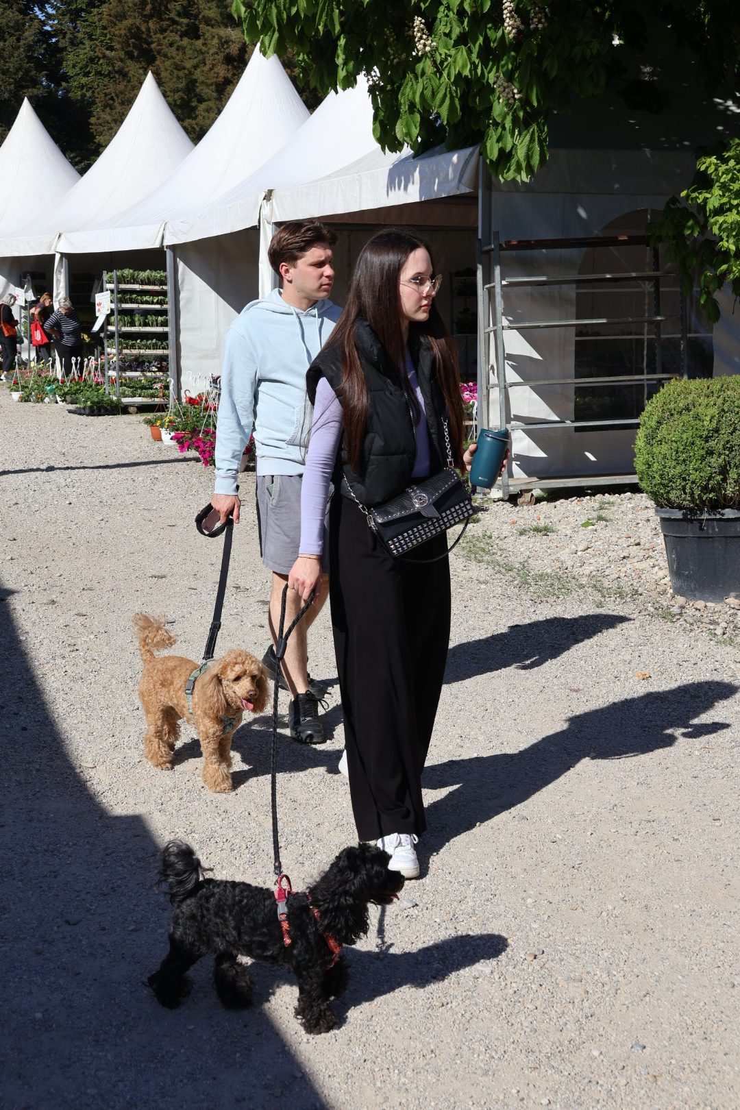 sajam cvijeća Prelog 2026 (84)