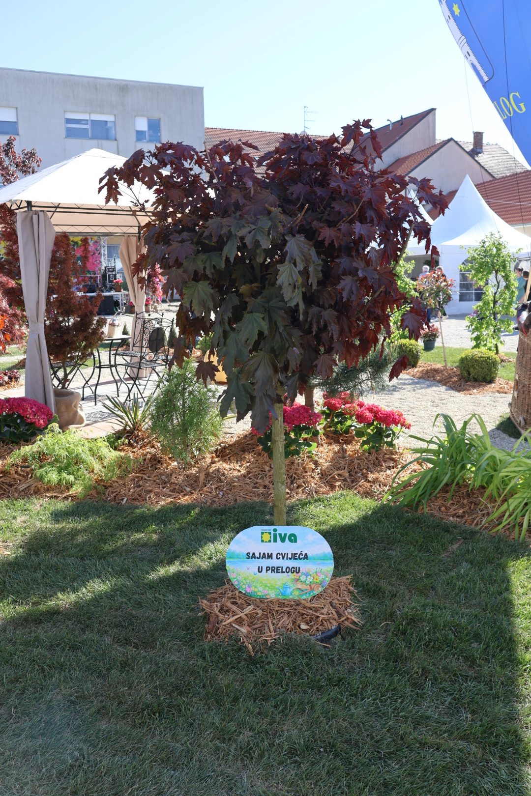 sajam cvijeća Prelog 2026 (87)