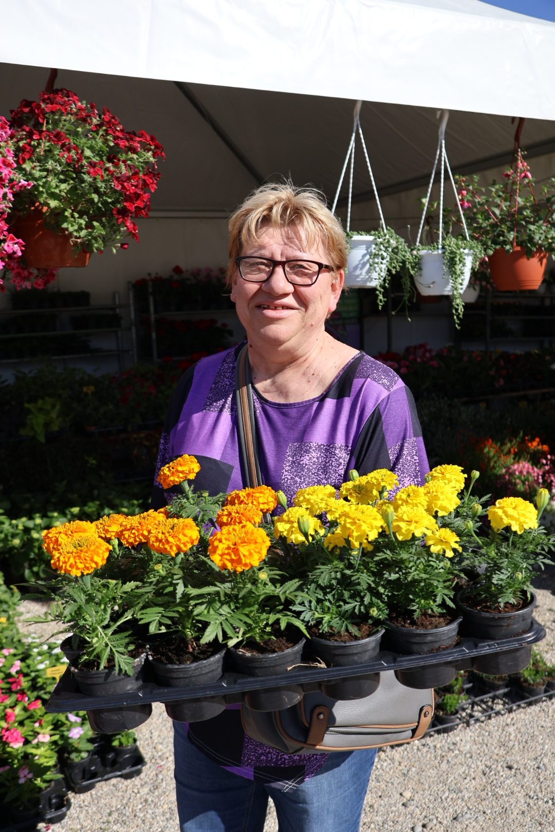 sajam cvijeća Prelog 2026 (91)