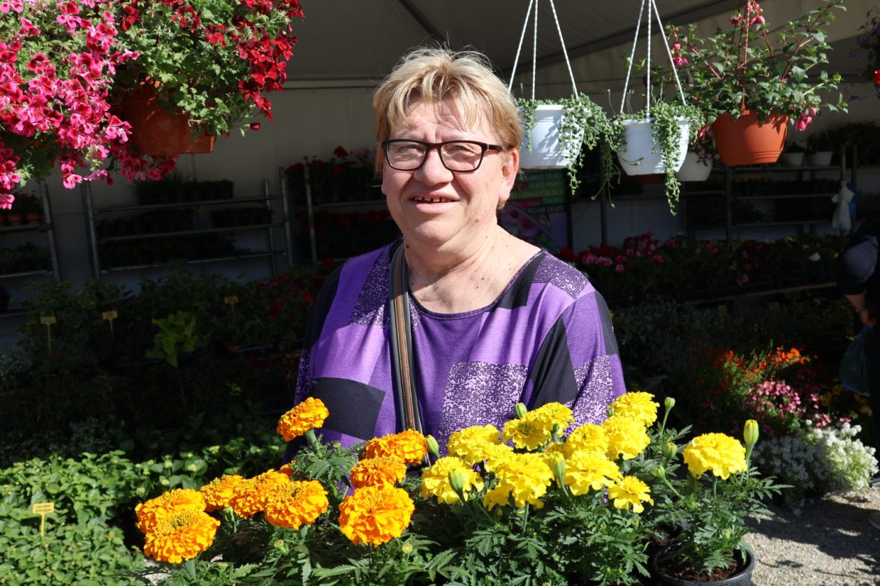 sajam cvijeća Prelog 2026 (92)