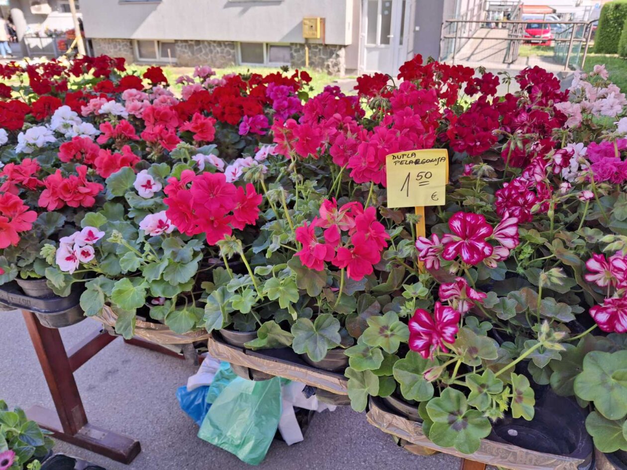 sajam prelog, 19.4.2025 (1) sajam prelog, 19.4.2025 (1)