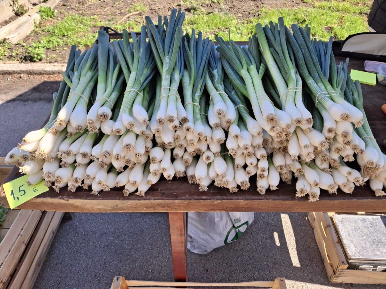 sajam prelog, 19.4.2025 (14) sajam prelog, 19.4.2025 (14)