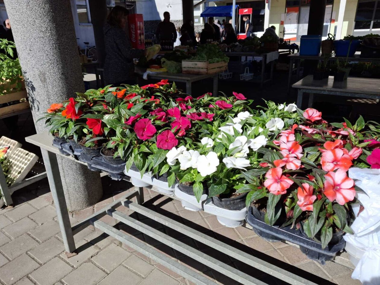 sajam prelog, 19.4.2025 (16) sajam prelog, 19.4.2025 (16)