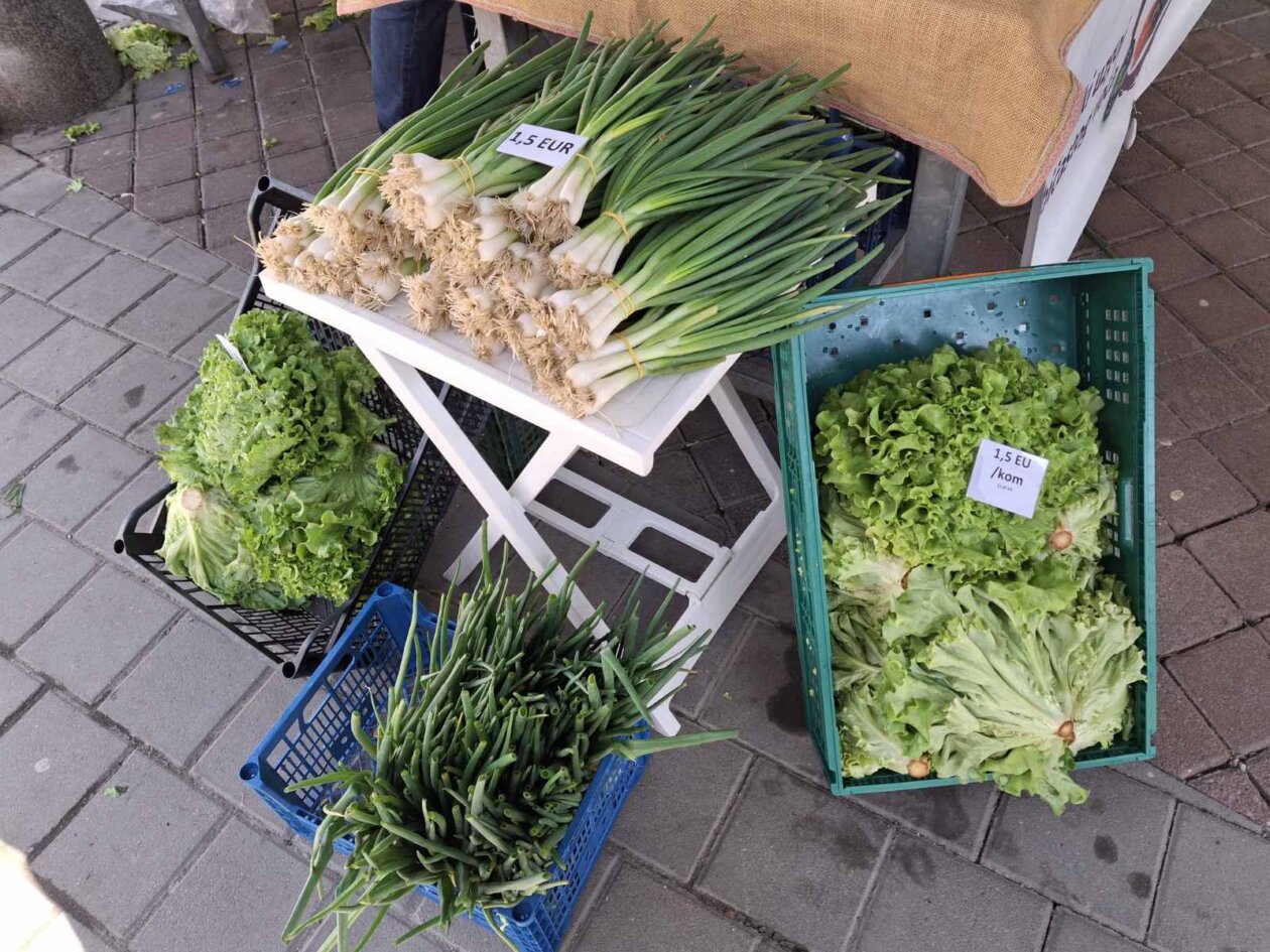 sajam prelog, 19.4.2025 (23) sajam prelog, 19.4.2025 (23)