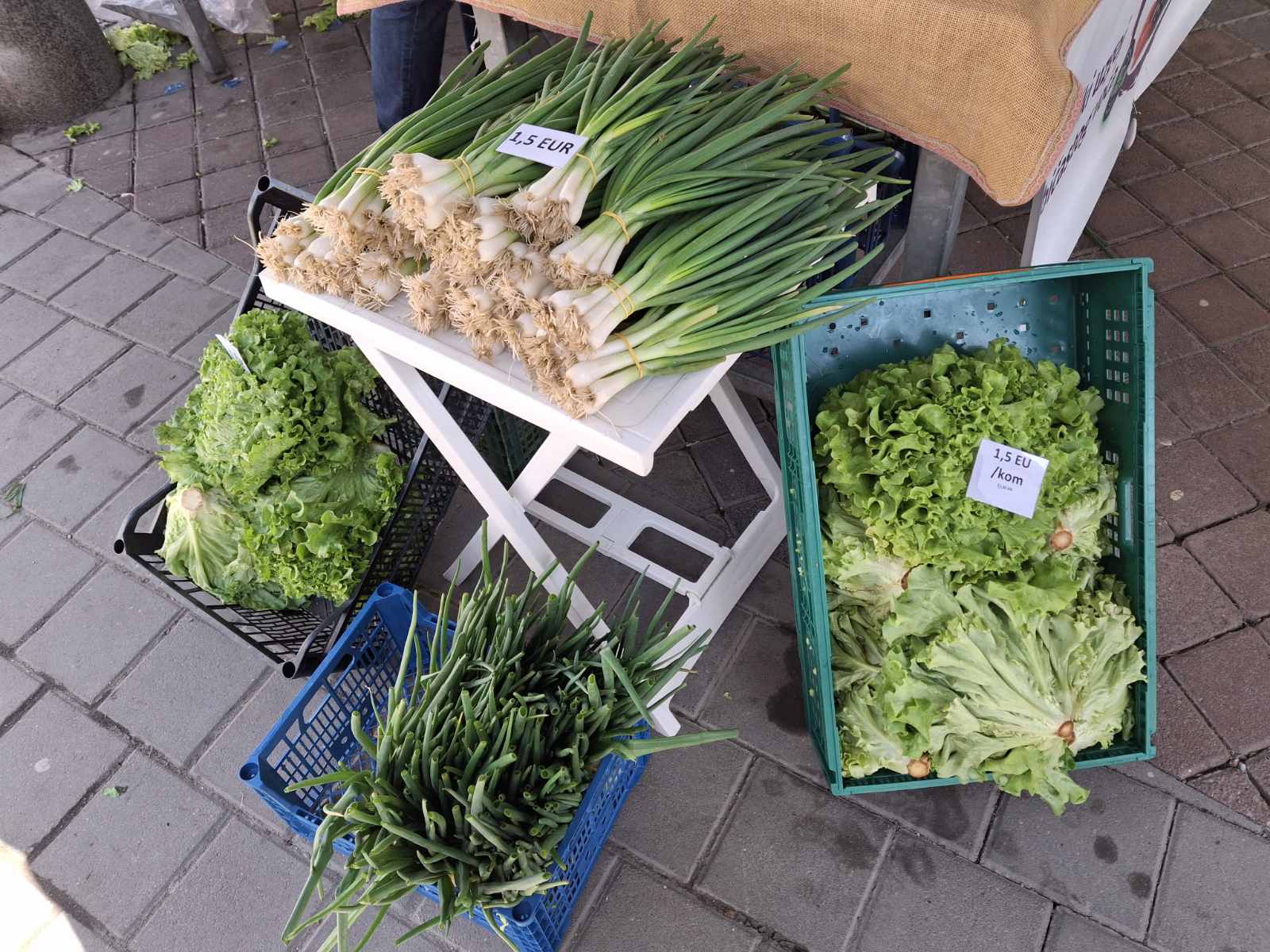 sajam prelog, 19.4.2025 (23) sajam prelog, 19.4.2025 (23)