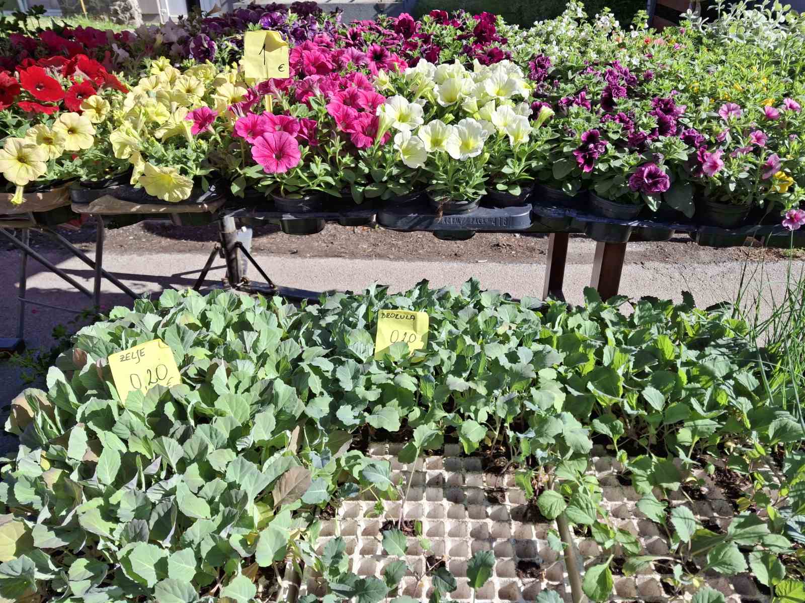 sajam prelog, 19.4.2025 (29) sajam prelog, 19.4.2025 (29)