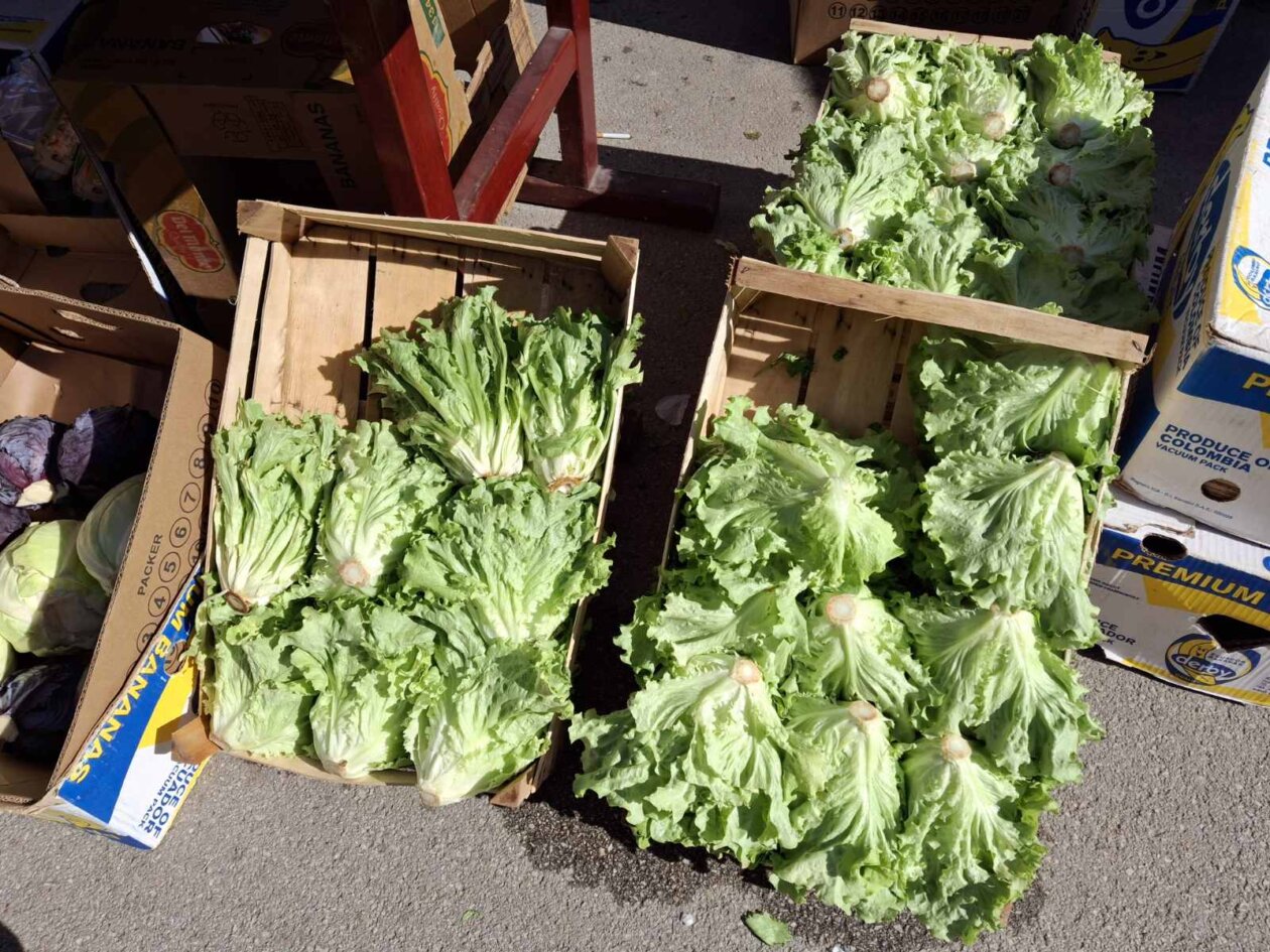 sajam prelog, 19.4.2025 (32) sajam prelog, 19.4.2025 (32)