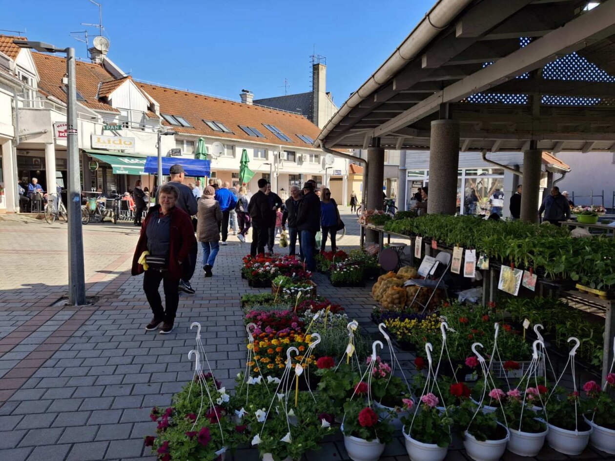 sajam prelog, 19.4.2025 (34) sajam prelog, 19.4.2025 (34)