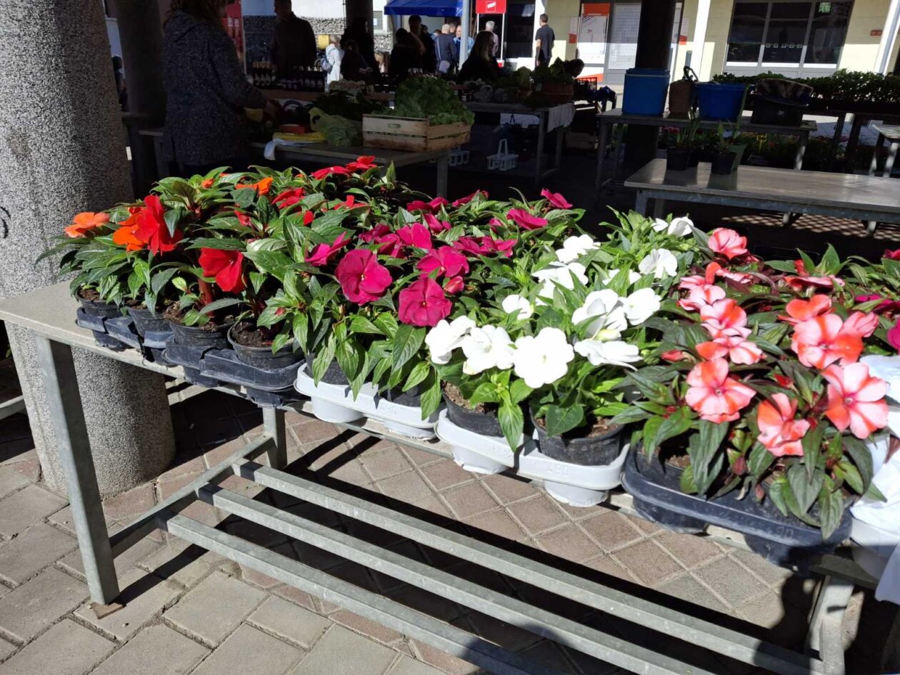 sajam prelog, 19.4.2025 (37) sajam prelog, 19.4.2025 (37)