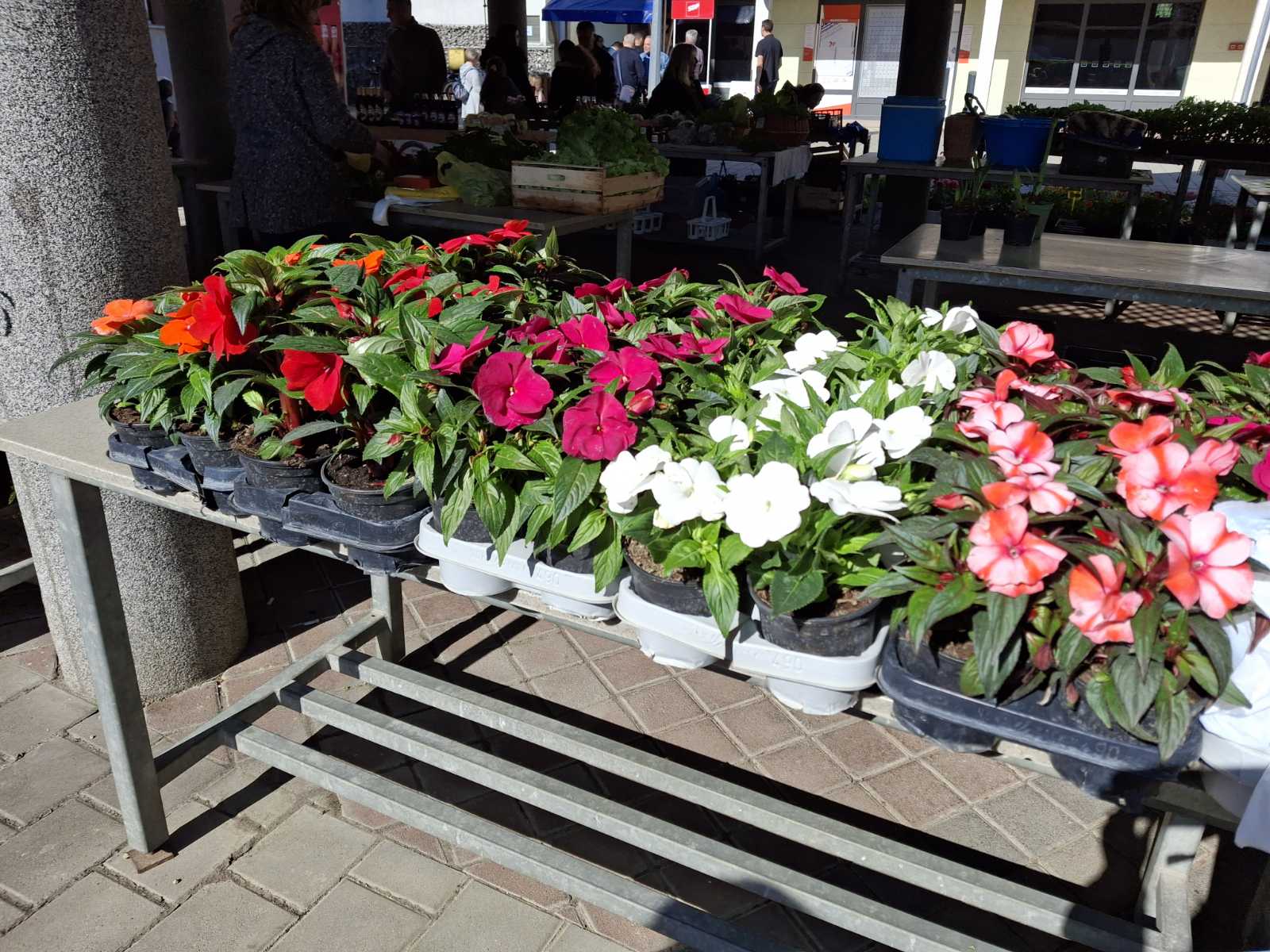 sajam prelog, 19.4.2025 (37) sajam prelog, 19.4.2025 (37)