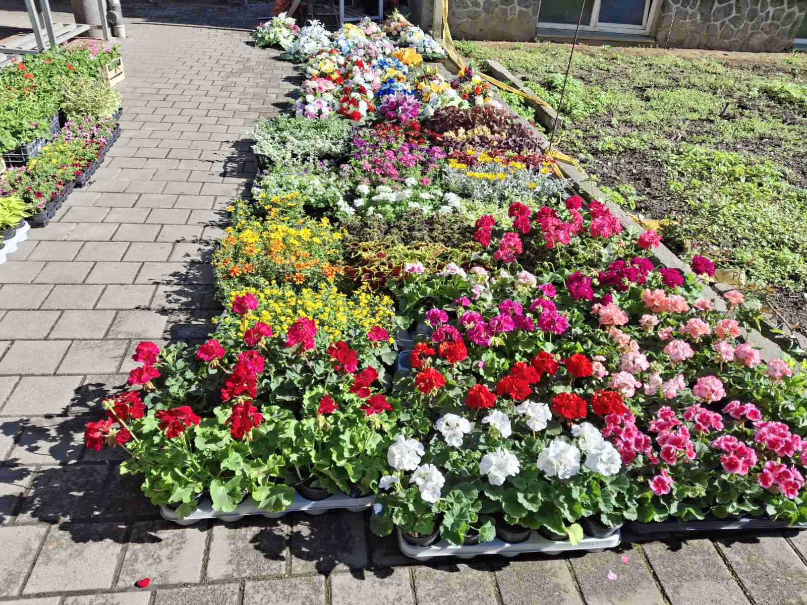 sajam prelog, 19.4.2025 (7) sajam prelog, 19.4.2025 (7)