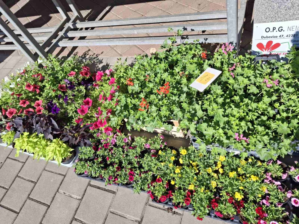 sajam prelog, 19.4.2025 (9) sajam prelog, 19.4.2025 (9)