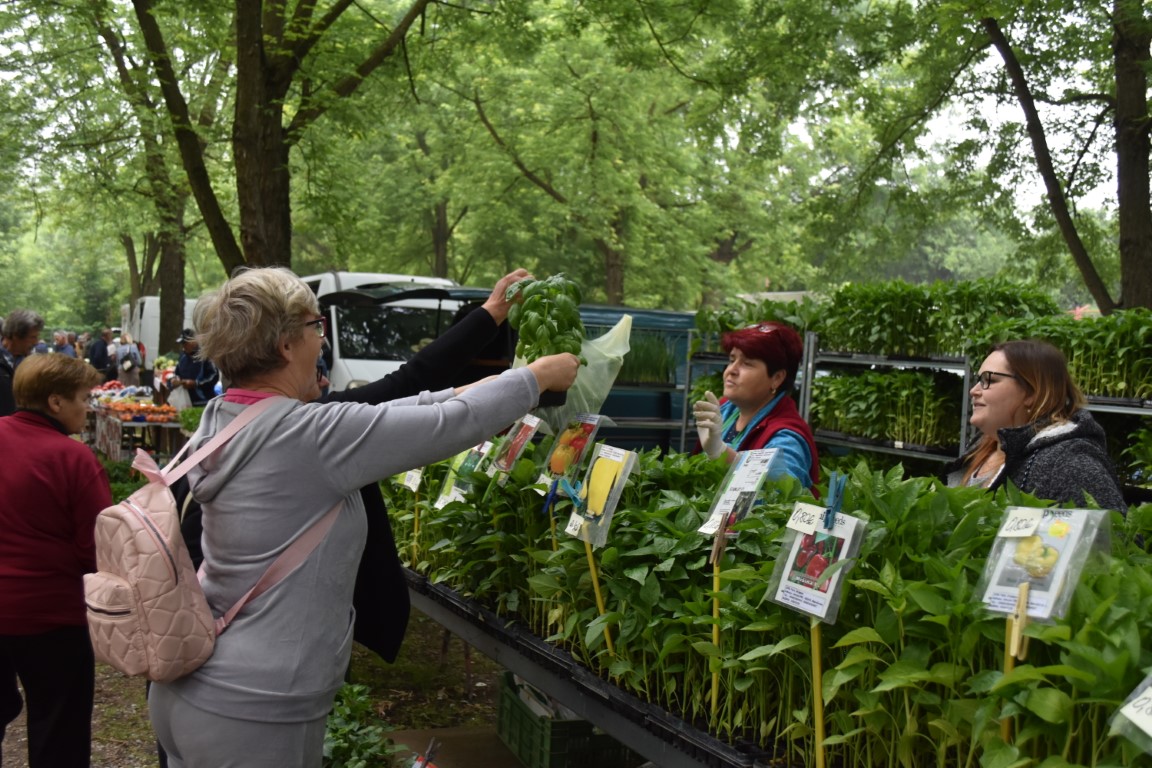 sajam srijedom (12) sajam srijedom (12)