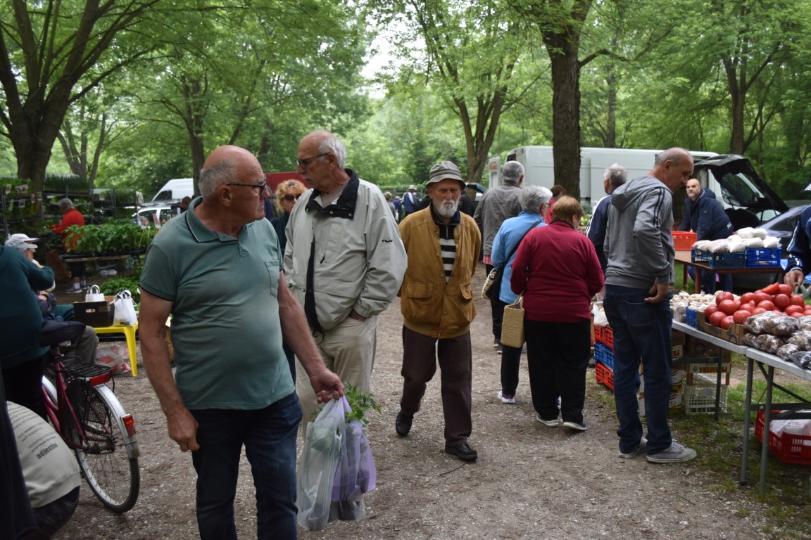 sajam srijedom (15) sajam srijedom (15)