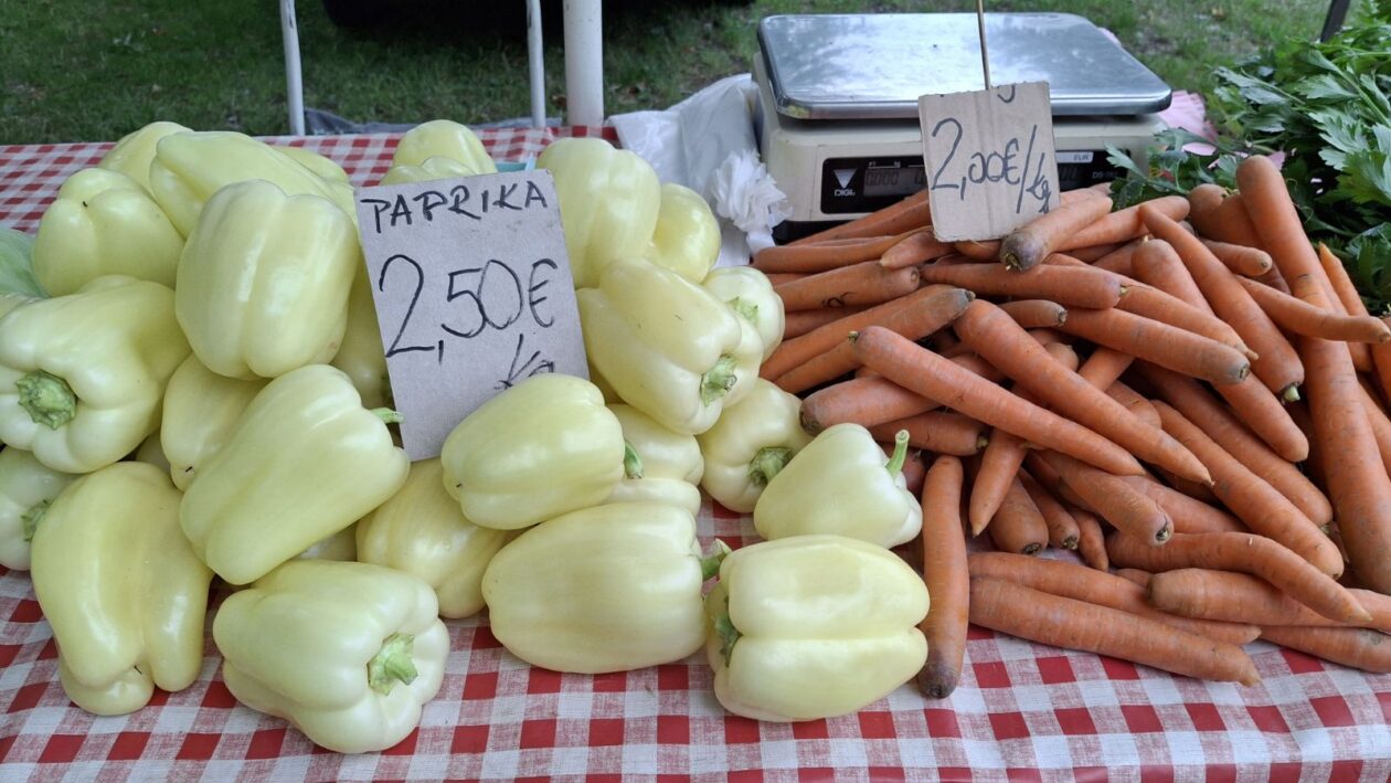 sajam srijedom 16.07.2025 (10)