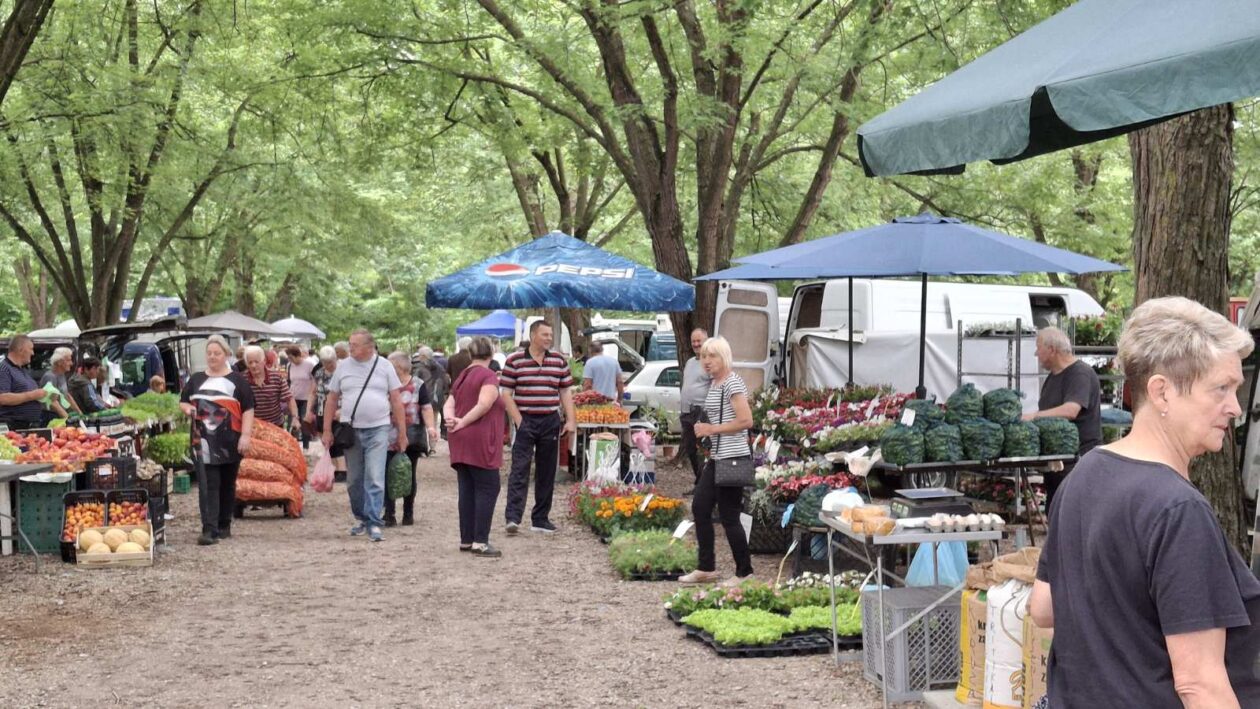 sajam srijedom 16.07.2025 (13)