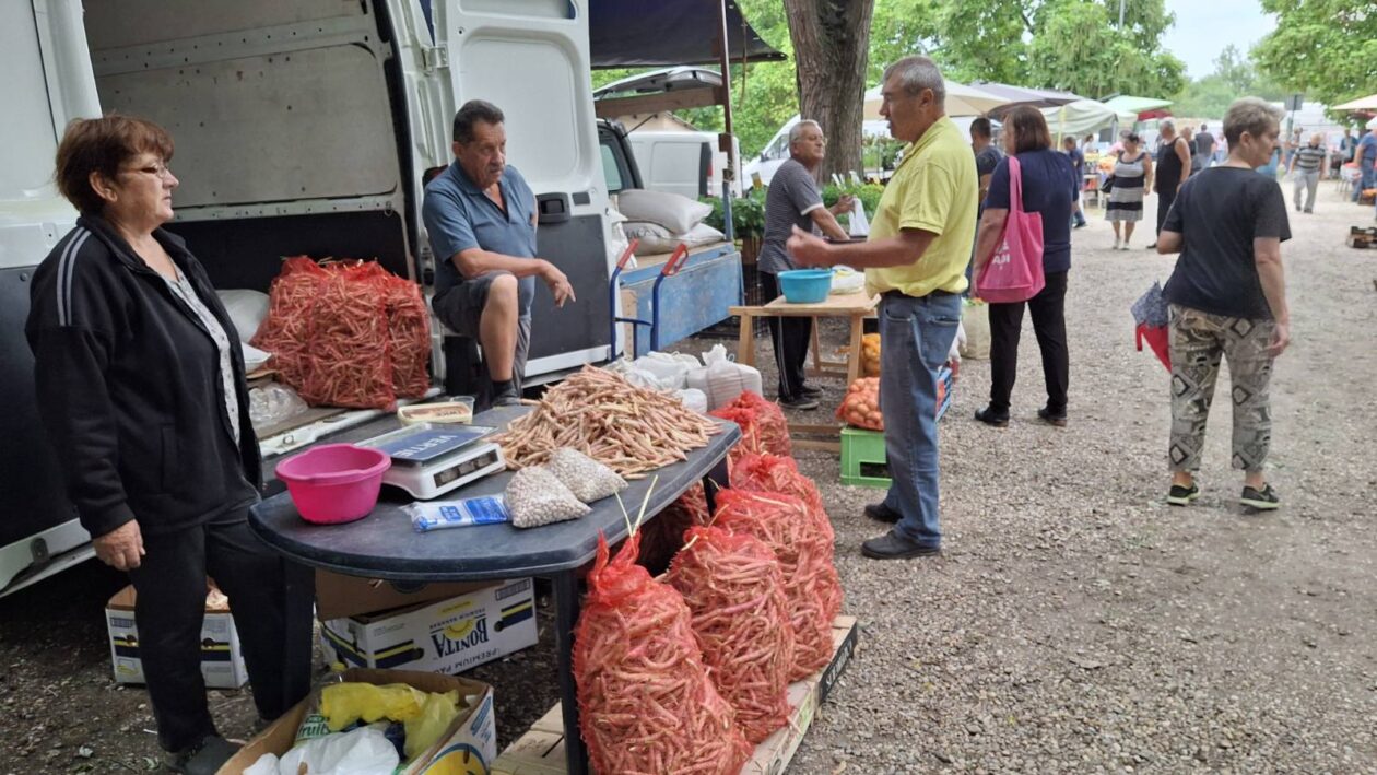 sajam srijedom 16.07.2025 (14)