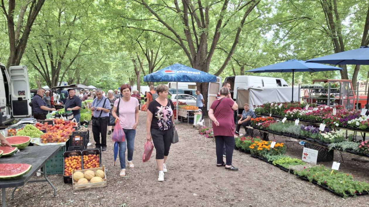 sajam srijedom 16.07.2025 (15)