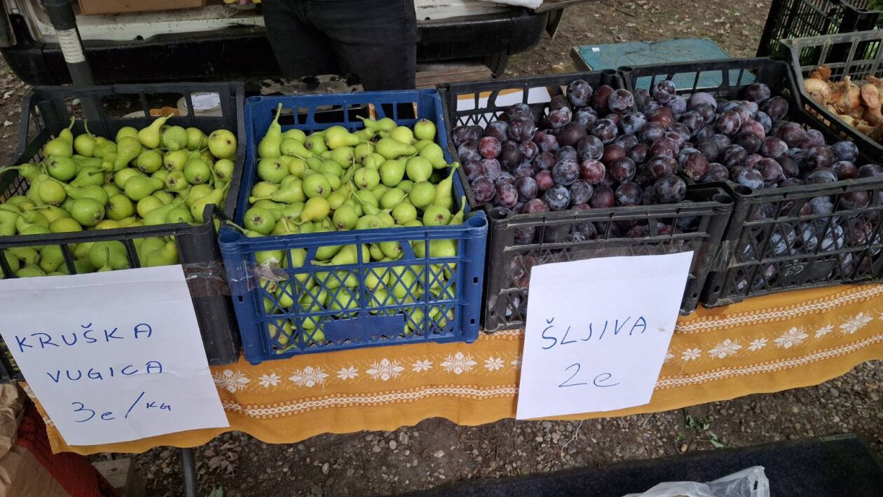 sajam srijedom 16.07.2025 (20)