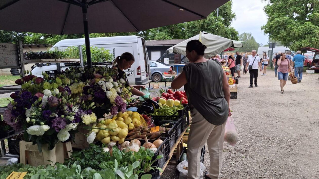 sajam srijedom 16.07.2025 (28)