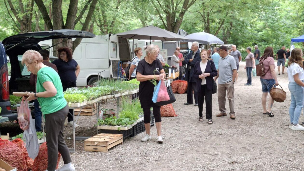 sajam srijedom 16.07.2025 (32)